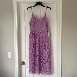 ASTR Lace A-line dress in Light Orchid NWT